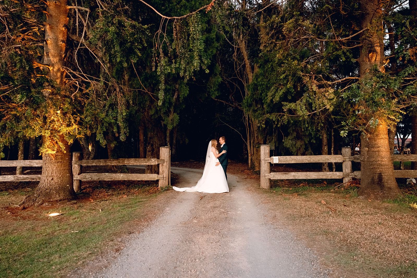 A couple on the driveway beneath the lit trees