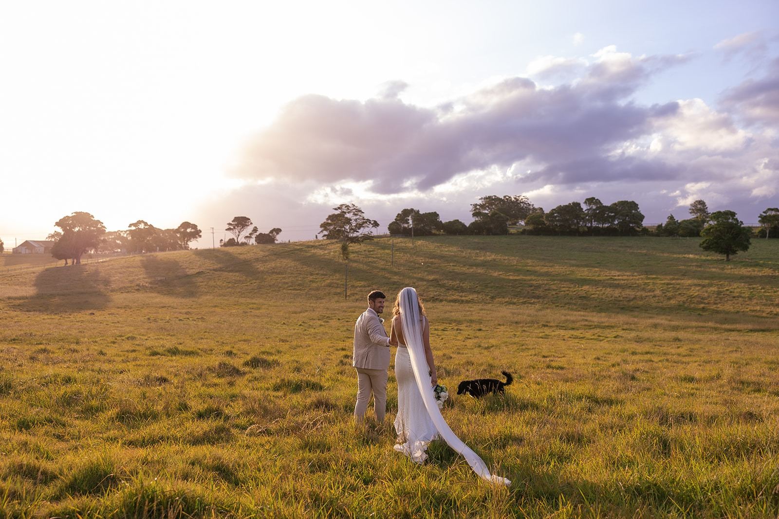 A couple in the paddock at golden hour