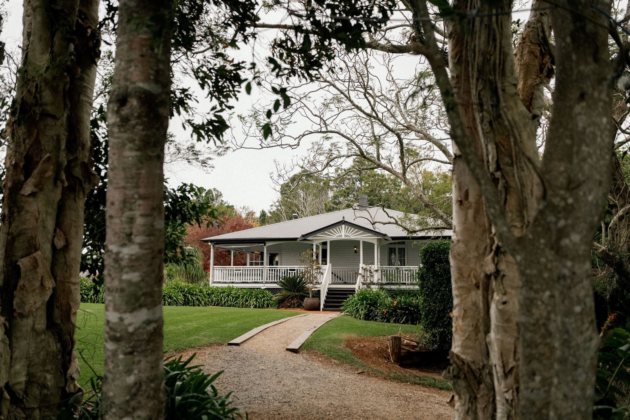 Rosewood Homestead framed by trees at the end of the path